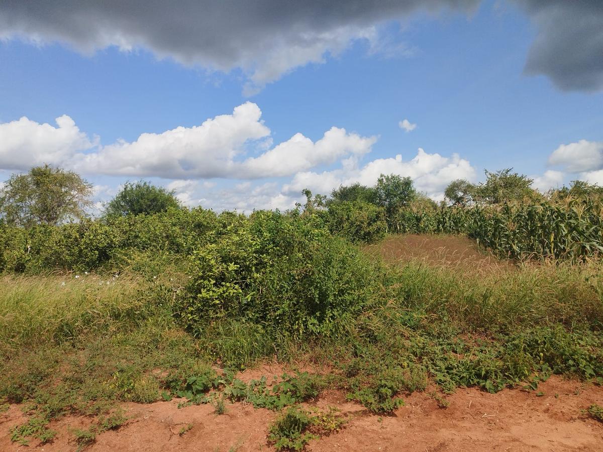 2 ha Land at Malindi -Lamu Highway - 5