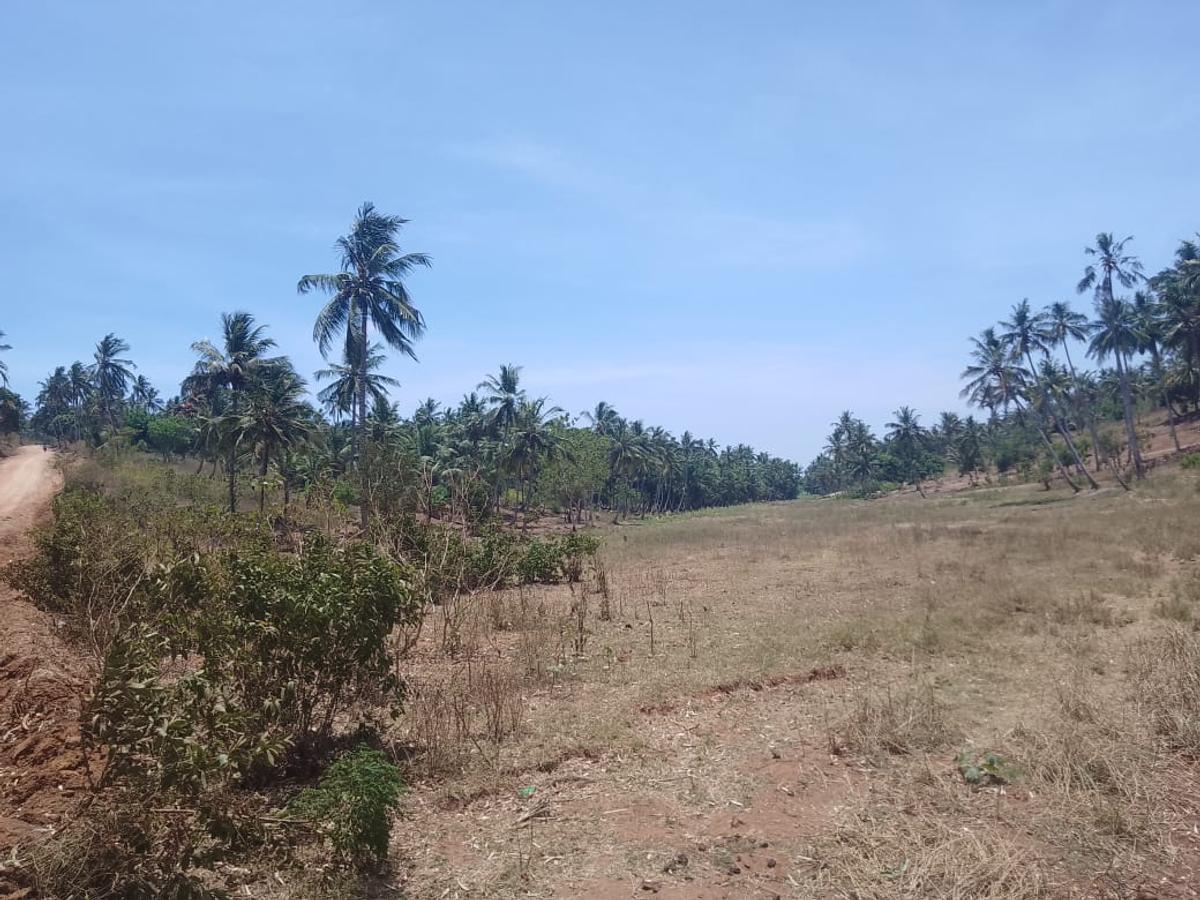 90 ac Land at Ridge - 12