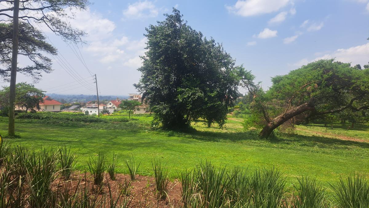 5,000 ft² Land in Kiambu Road - 1