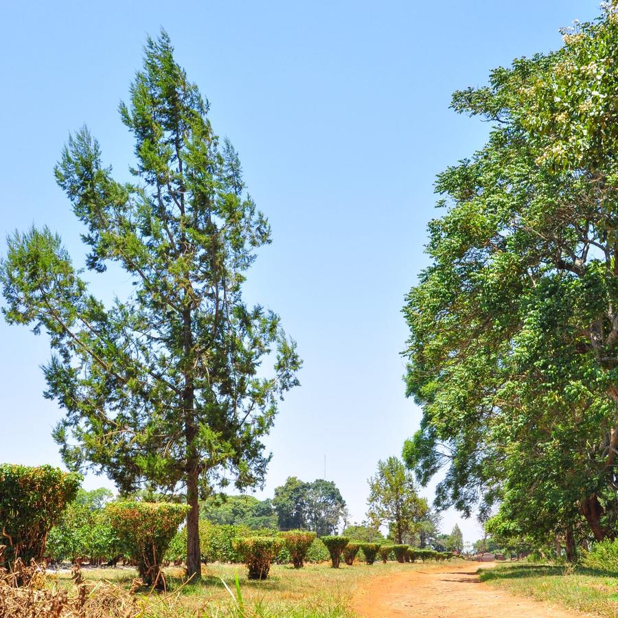 Land at Juja - 5