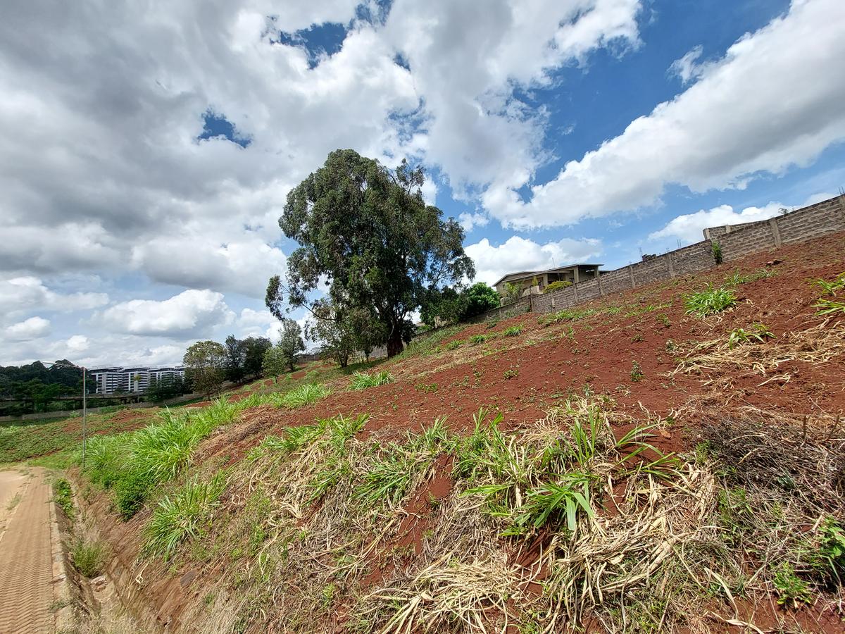 Residential Land at Rosslyn Valley - 3