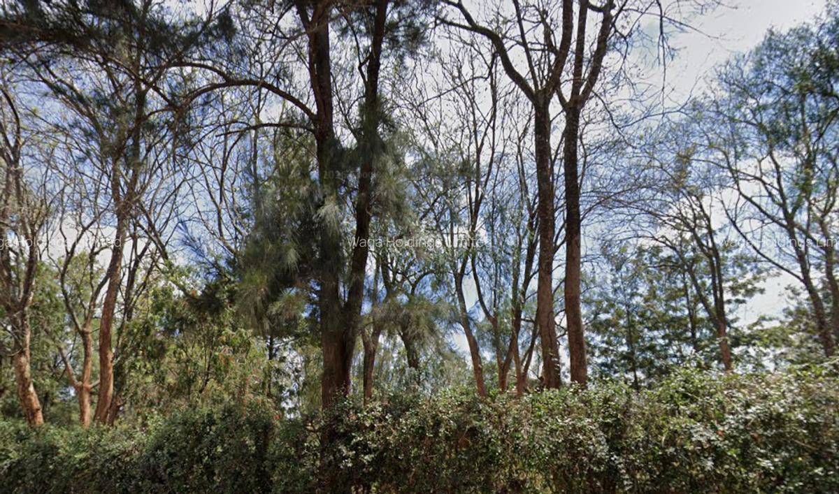 1 ac Land in Nyeri - 1