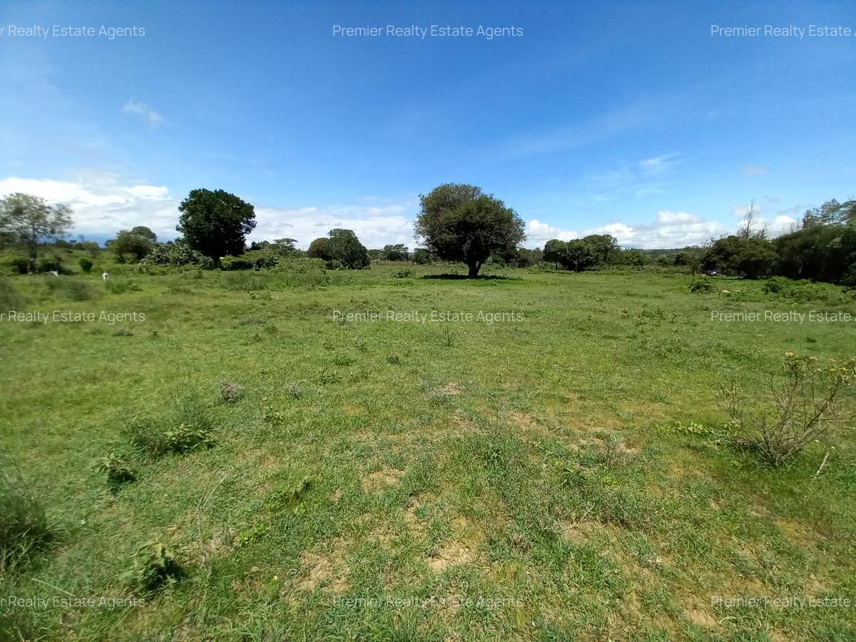 5 ac Residential Land at Nanyuki - 5