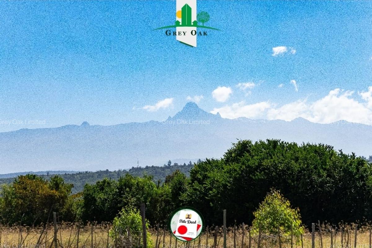 0.040 ha Residential Land in Nanyuki - 12
