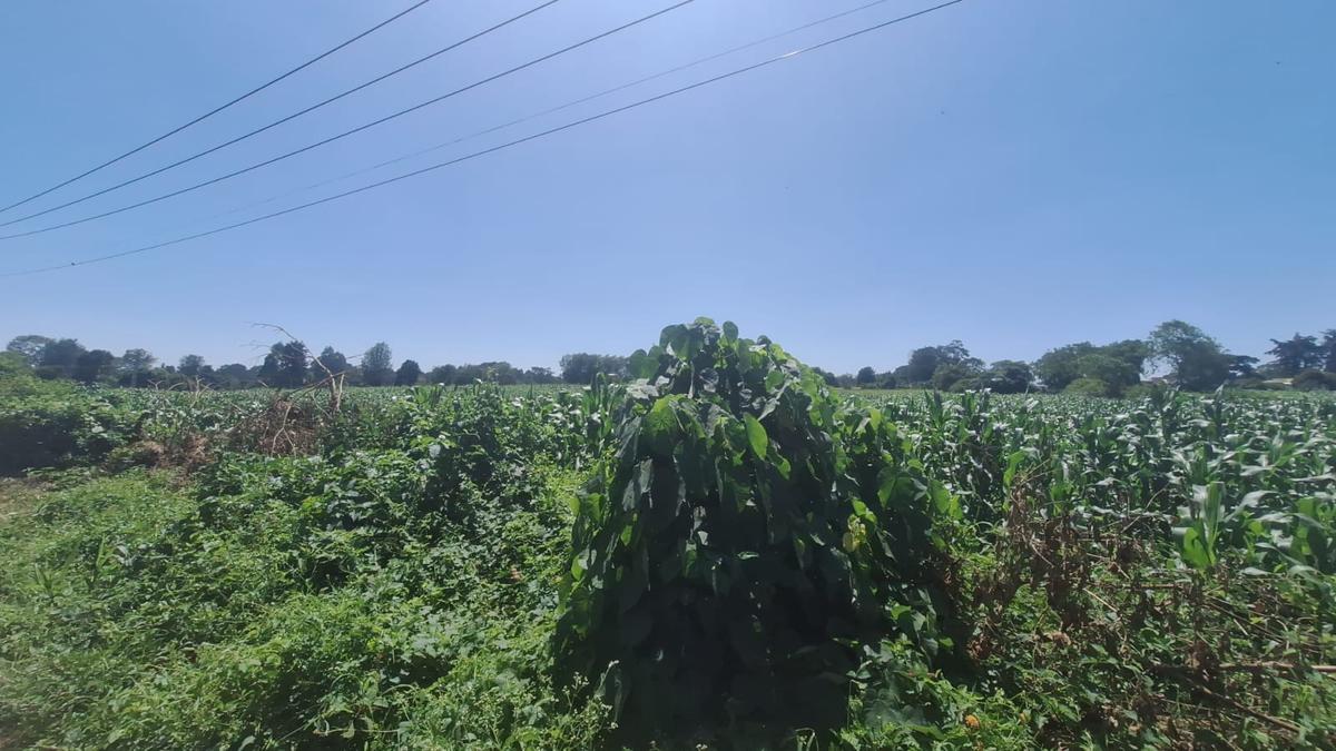 5 ac Commercial Land at Lower Kabete - 11