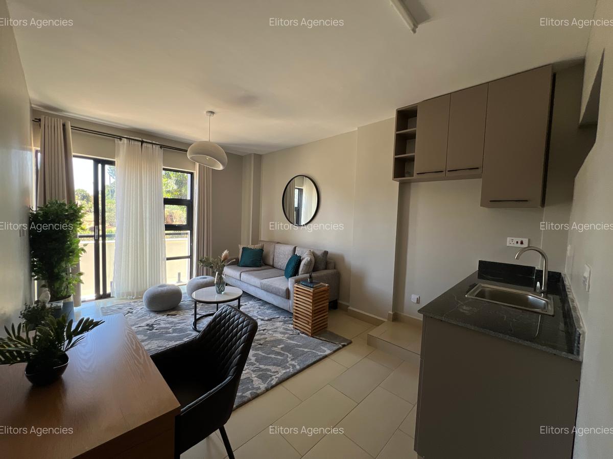 Studio Apartment with En Suite at Kirawa Road - 8