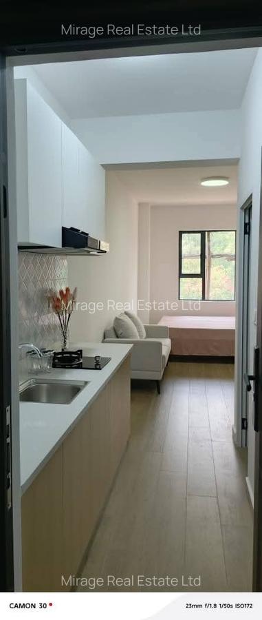 Furnished Studio Apartment with Gym in Juja - 12