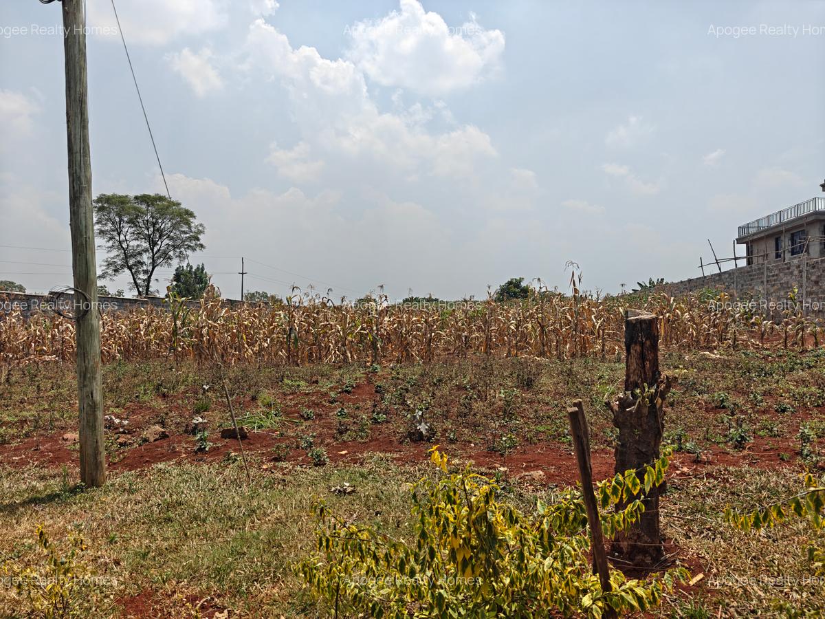 0.5 ac Land at Runda - 8
