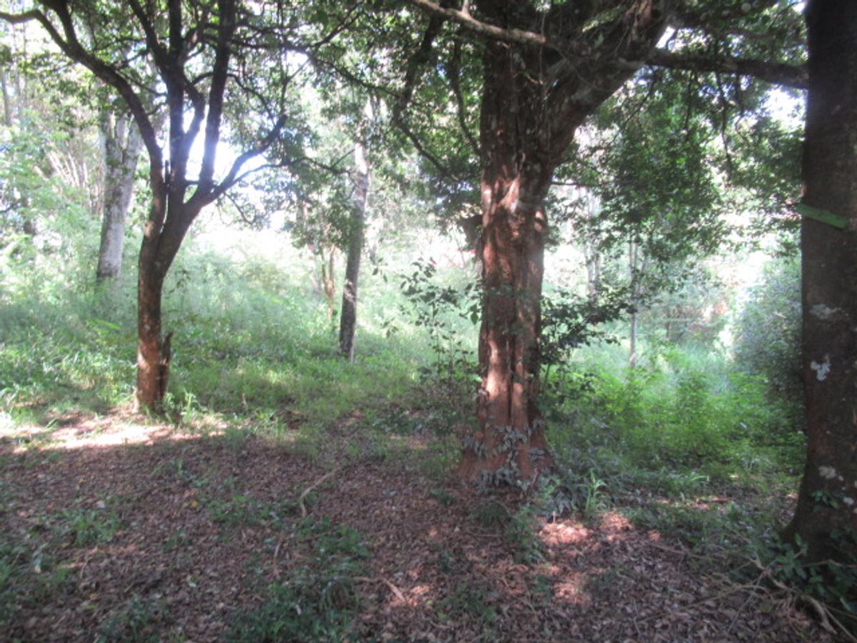 Residential Land at Mwitu Estate - 11