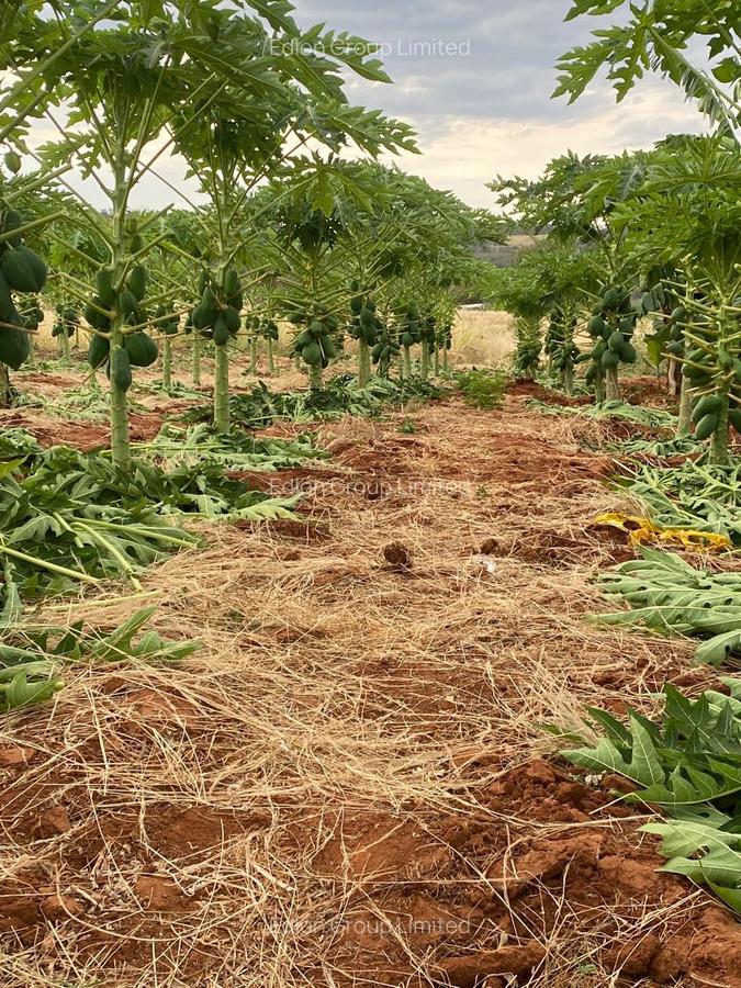 Land at Gachuriri - 3