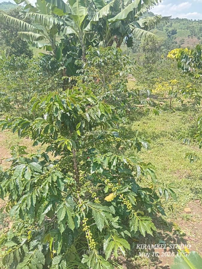 6.5 ac Land at Nandi Hills - 2