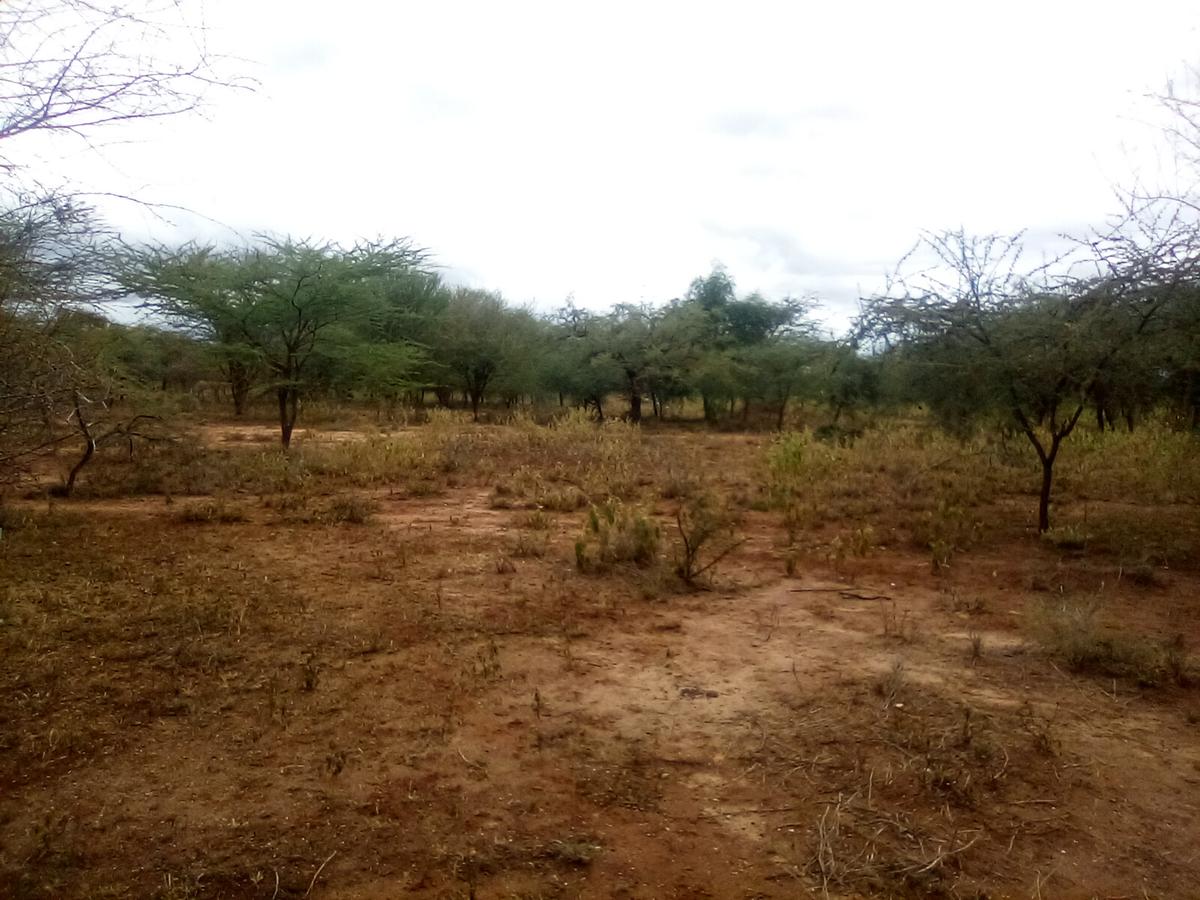 Land at Namanga Rd - 10