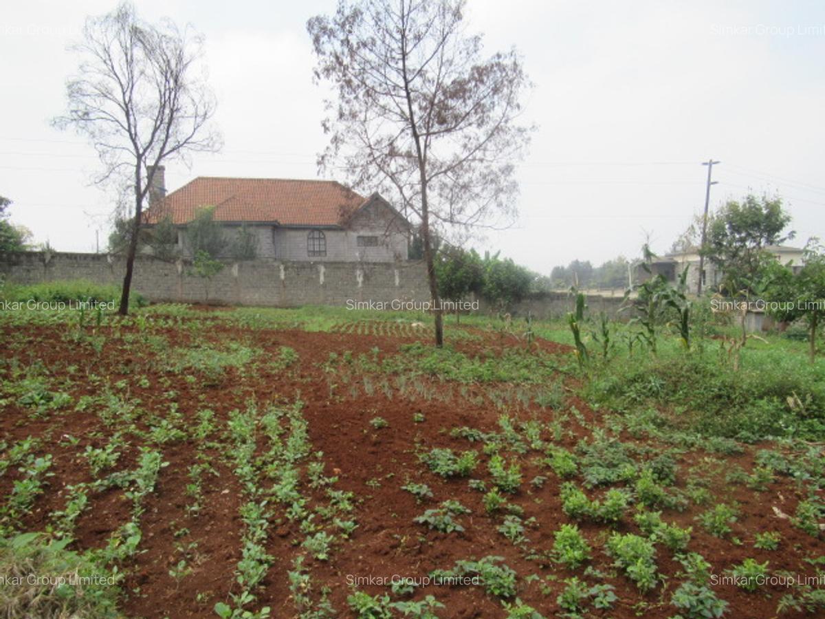 Residential Land at Runda - 8