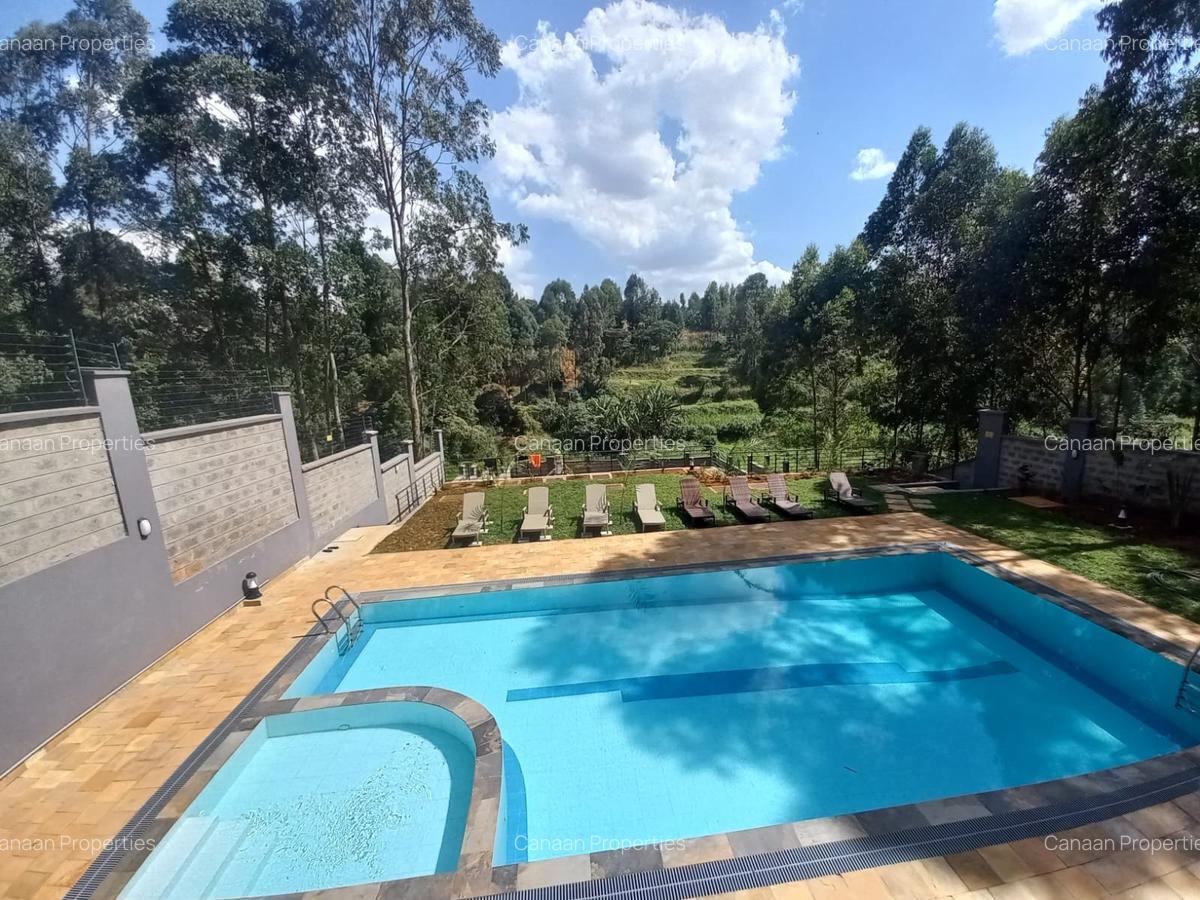 3 Bed Apartment with En Suite in Kitisuru - 10
