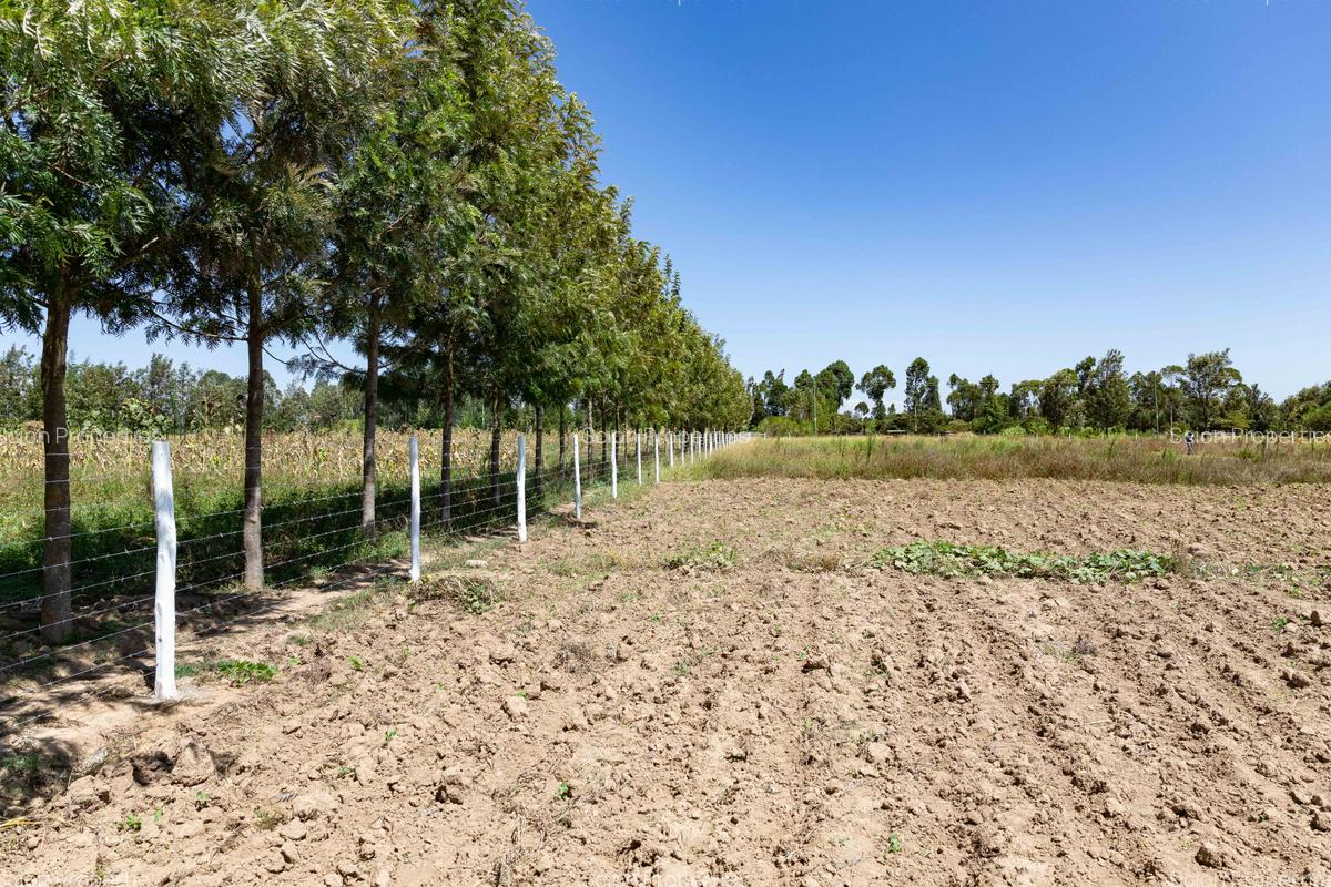 0.125 ac Residential Land in Nanyuki - 4