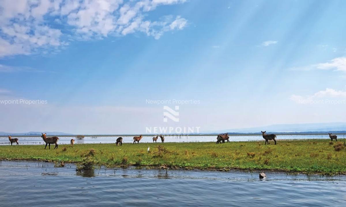10 ac Land in Naivasha - 2