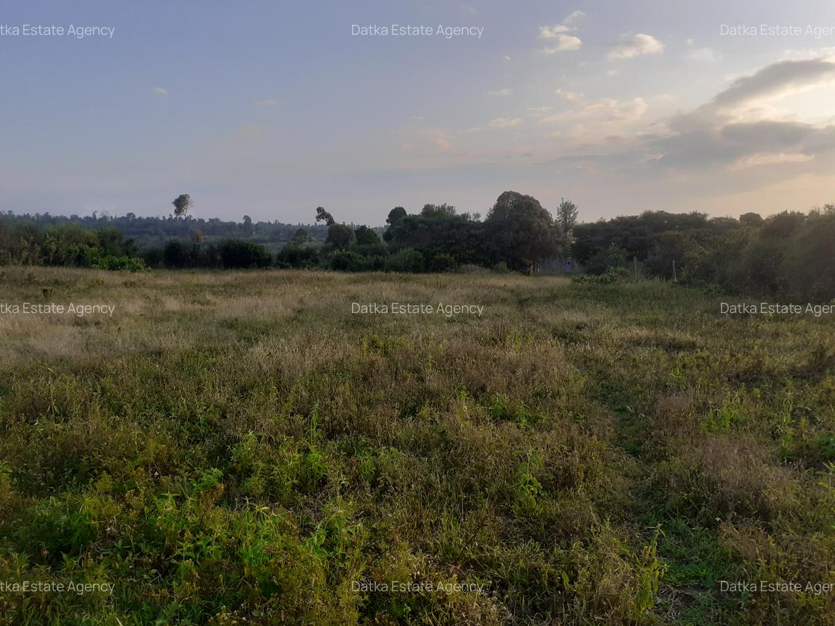 0.5 ac Residential Land in Nanyuki - 4