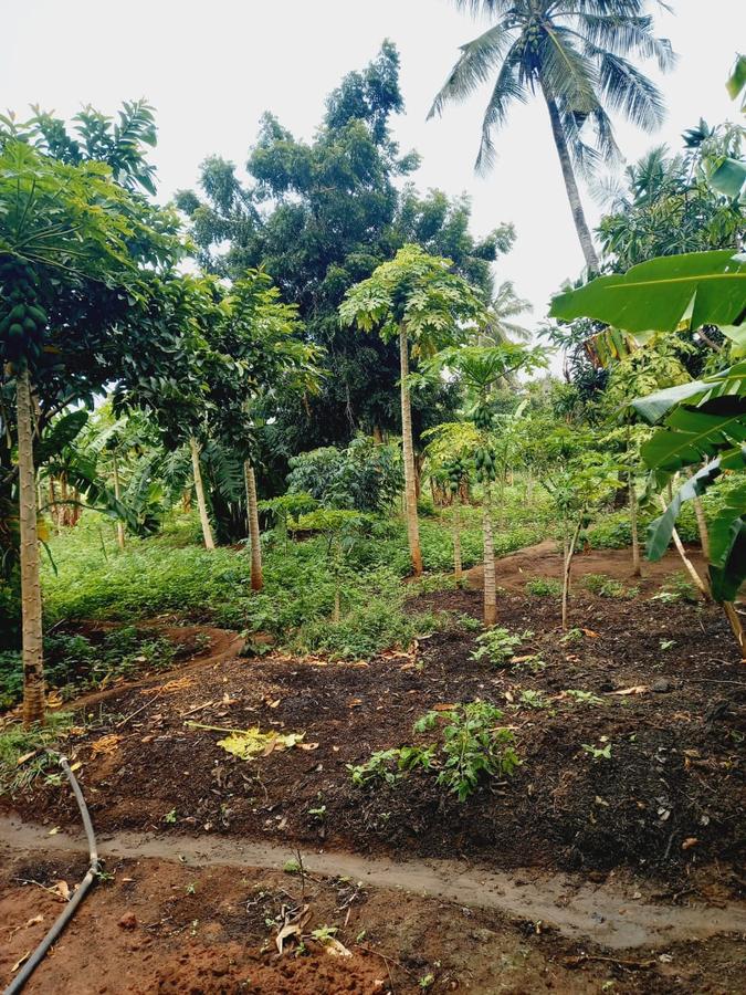 1 ac Land in Mtwapa - 11