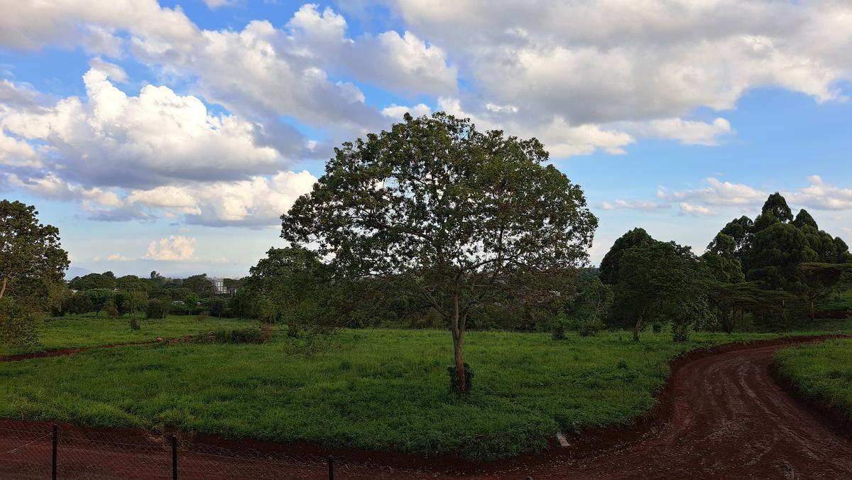 5,000 ft² Land in Kiambu Road - 6