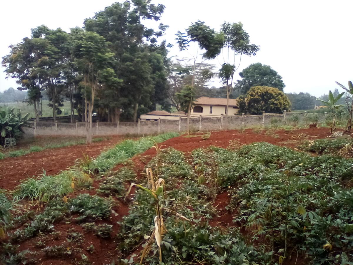 Land at Runda - 4