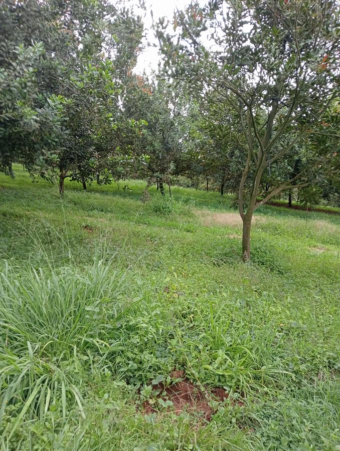 0.125 ac Residential Land at Thika Grove Chania-Opposite Blue Post Hotel - 16