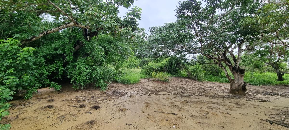 6 ac Land at Mtwapa Creekside - 17