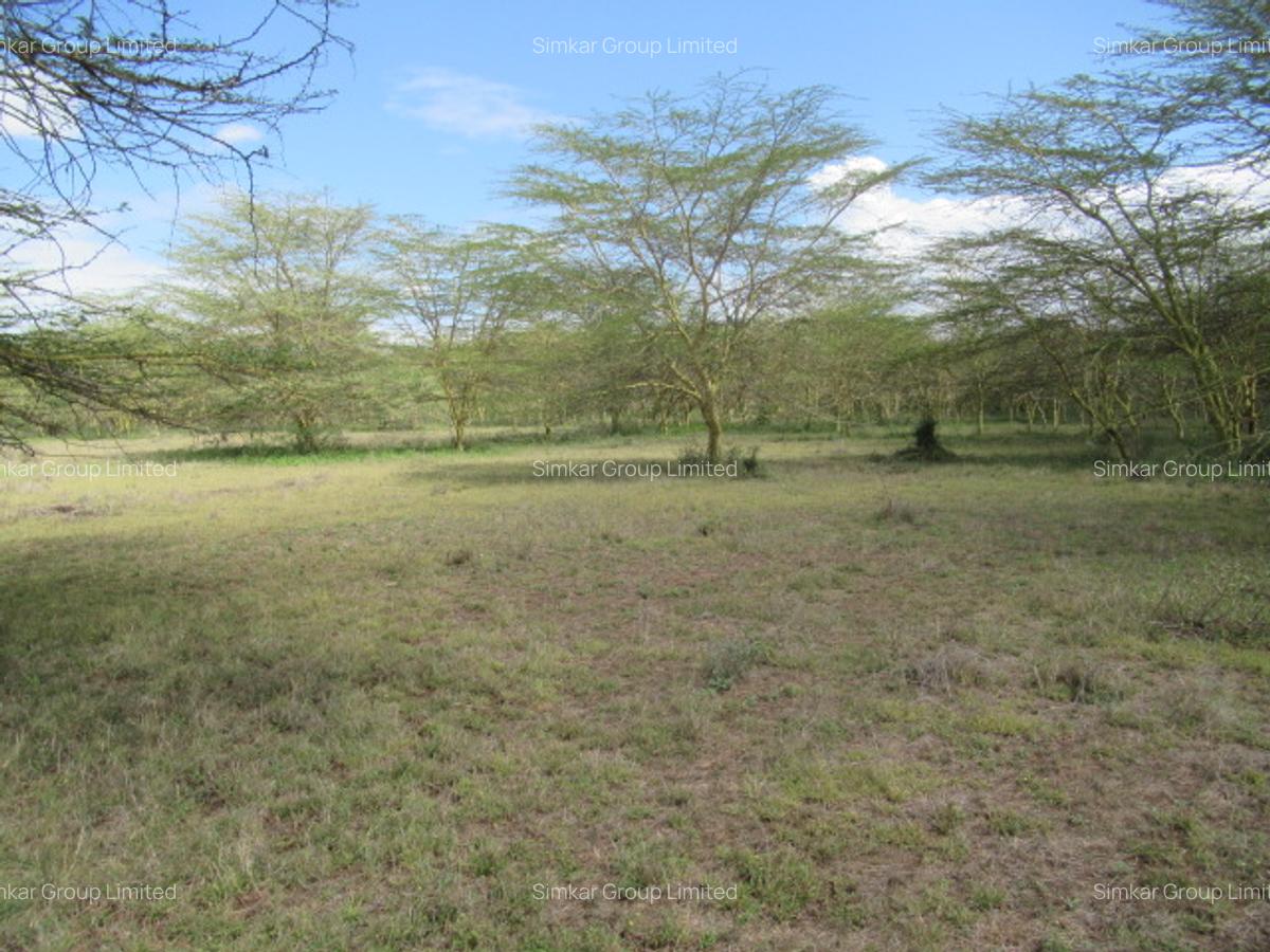 Land at Kitengela - 16