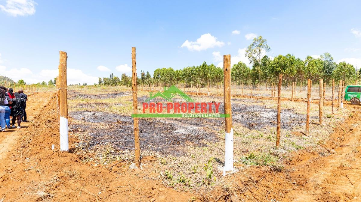 0.05 ha Residential Land at Ndiguini - 7