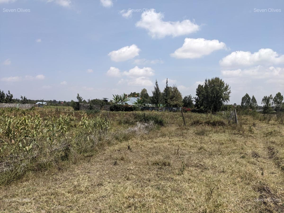 0.25 ac Land in Ruai - 4