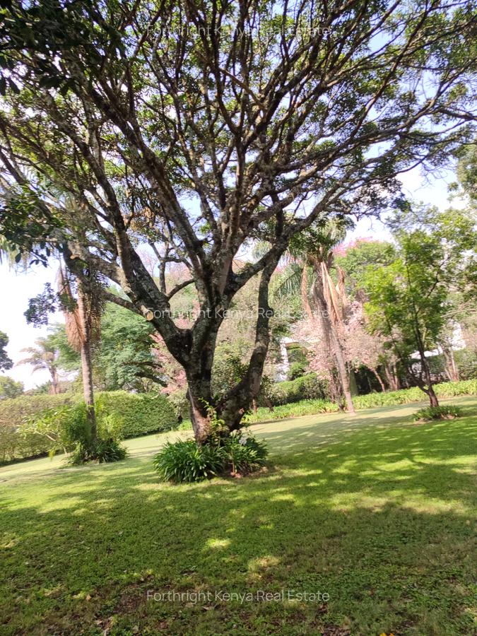 1 ac Land at Ndege Road - 10