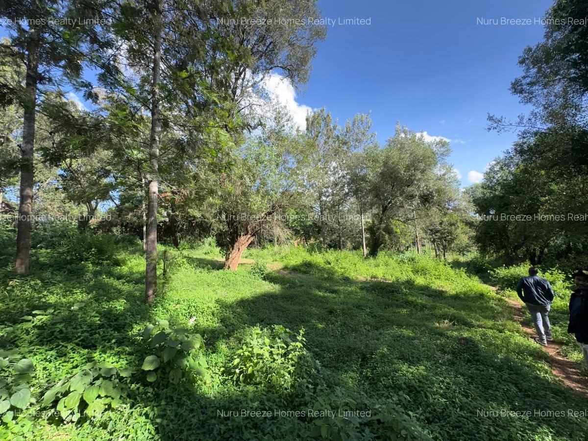 0.5 ac Land in Lake View - 2