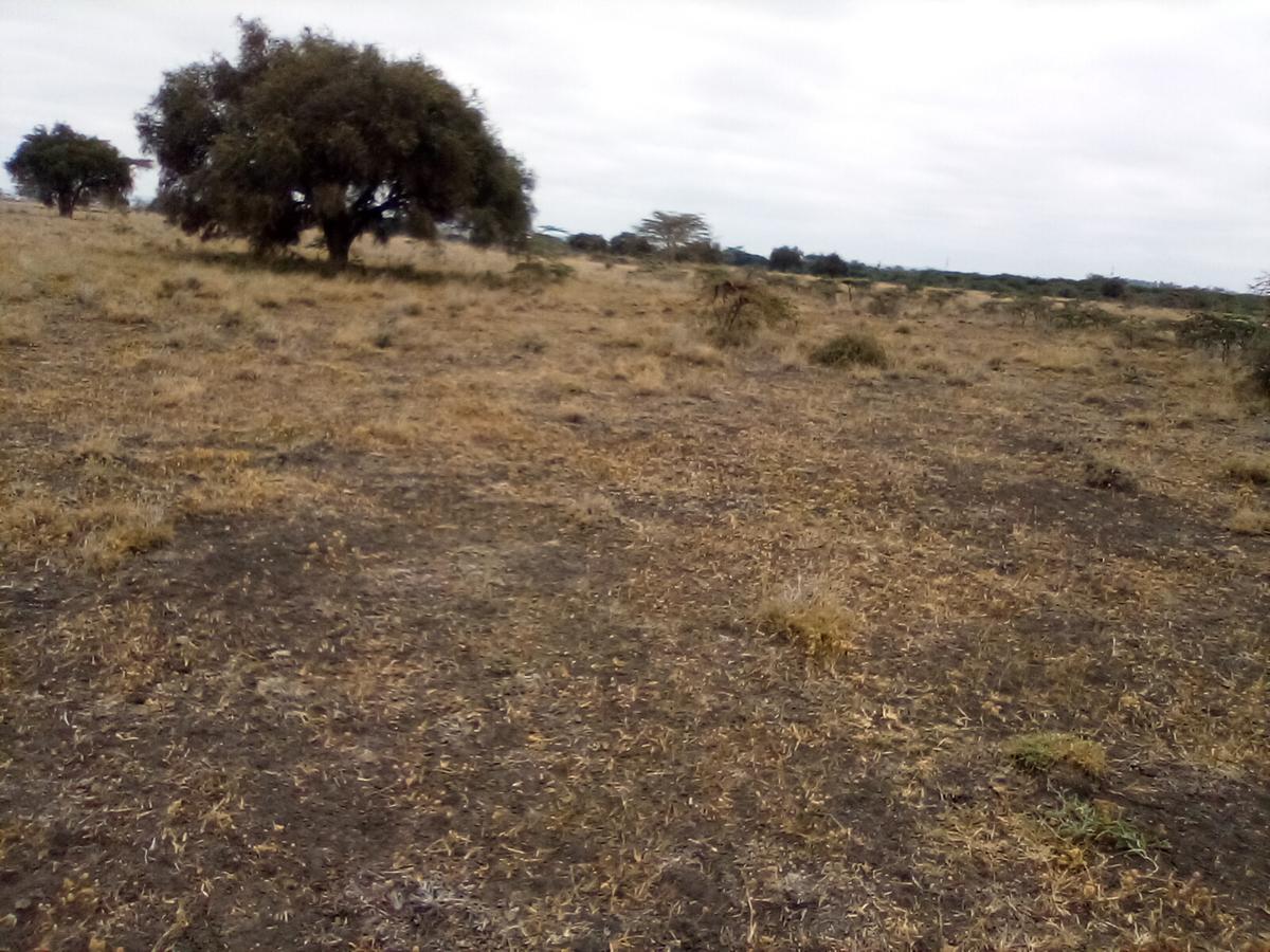 30 ac Land at Off Namanga Rd - 13