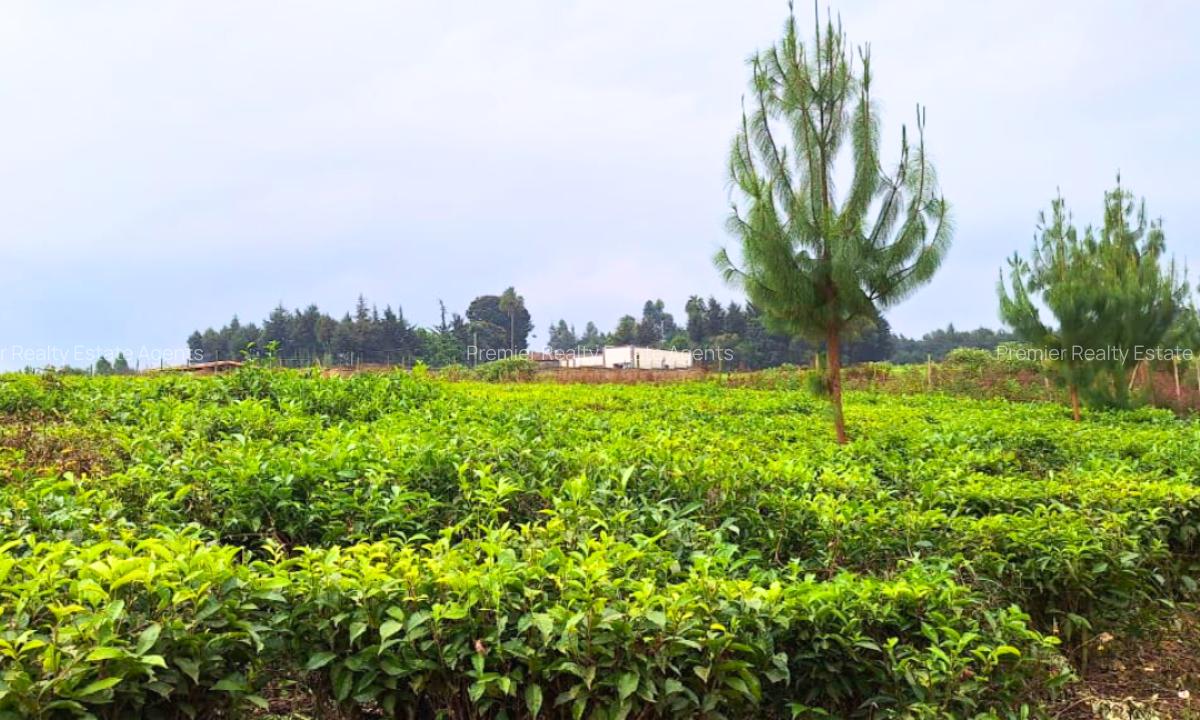20 ac Residential Land at Riara Ridge - 4