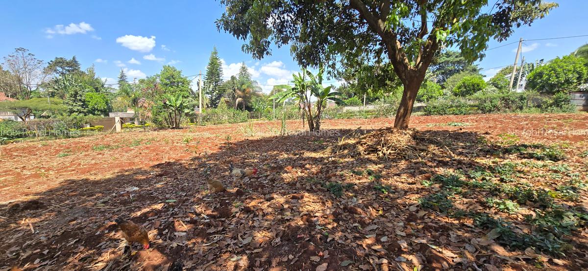 Residential Land at Flem Tree - 12