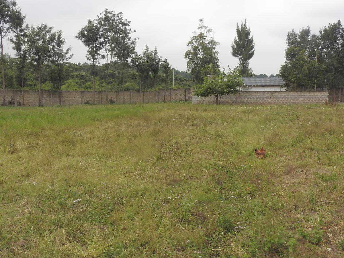 1.3 ac Land at Karen Plains - 4