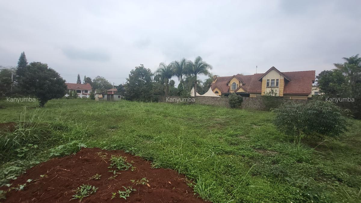 0.5 ac Land at Old Runda - 9