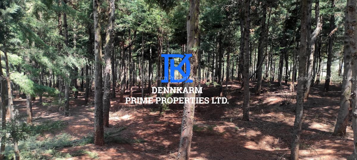 0.05 ha Land at Thigio - 9