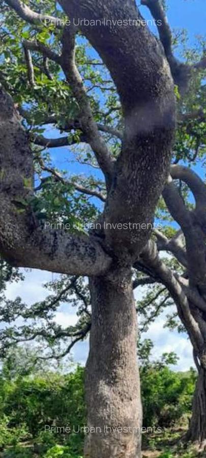 73.6 ac Land at Vipingo Kuruwitu Beach - 13