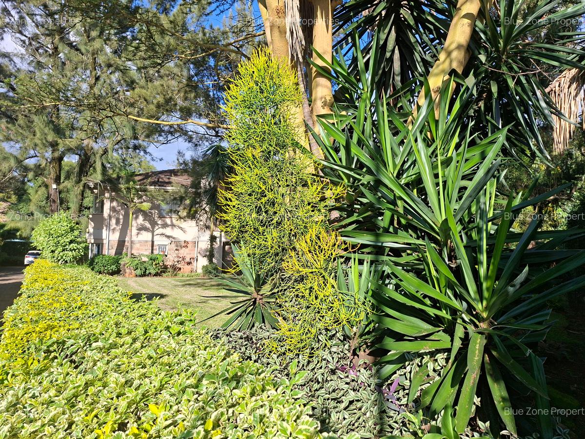 0.47 ft² Commercial Property with Backup Generator at Off Ngong Rd - 17