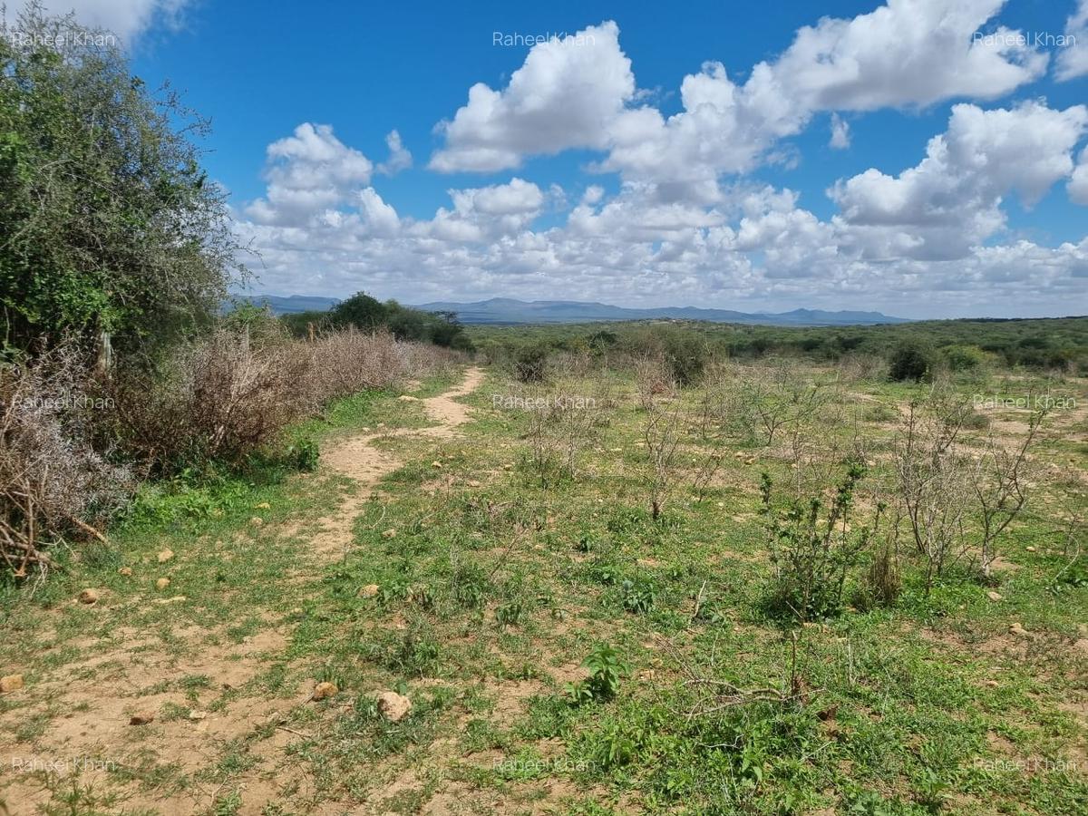 14 ac Land in Bisil - 3