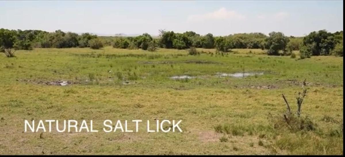 33 ac Land at Narok County - 10