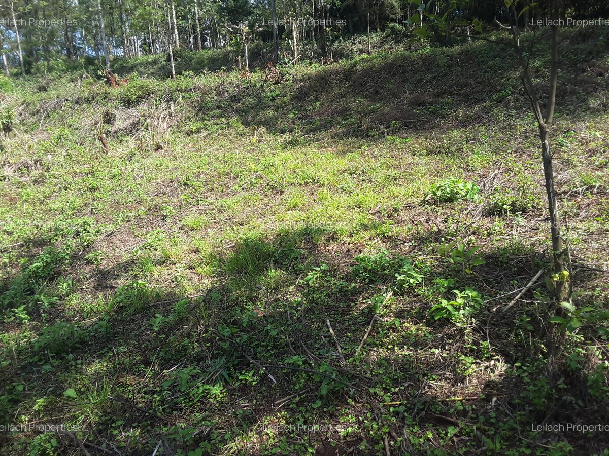 0.25 ac Residential Land in Ngong - 2