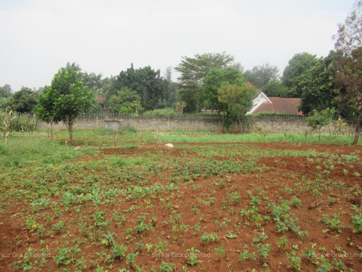 Residential Land at Runda - 9