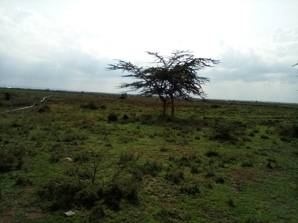 Land at Nanyuki - Rumuruti Rd - 6