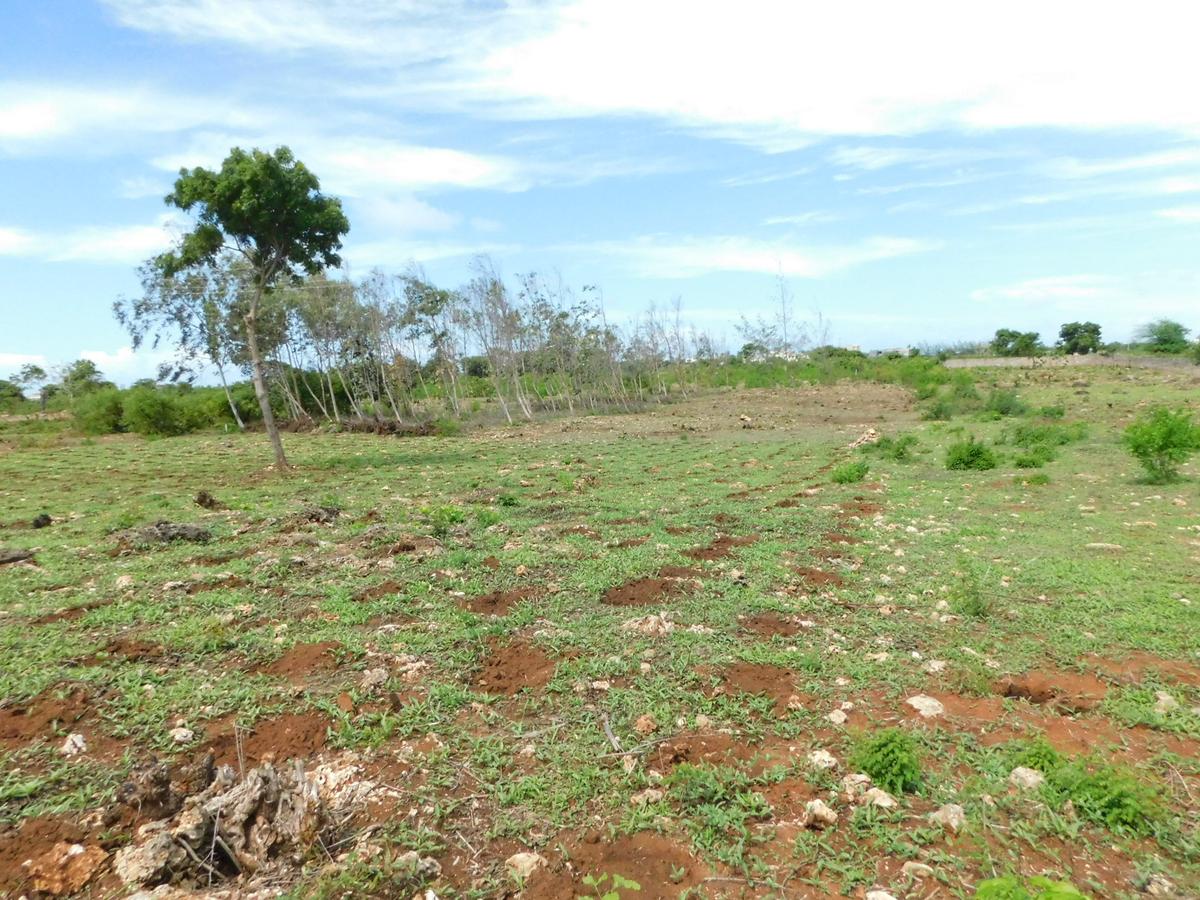 10,000 ft² Land at Vipingo - 3