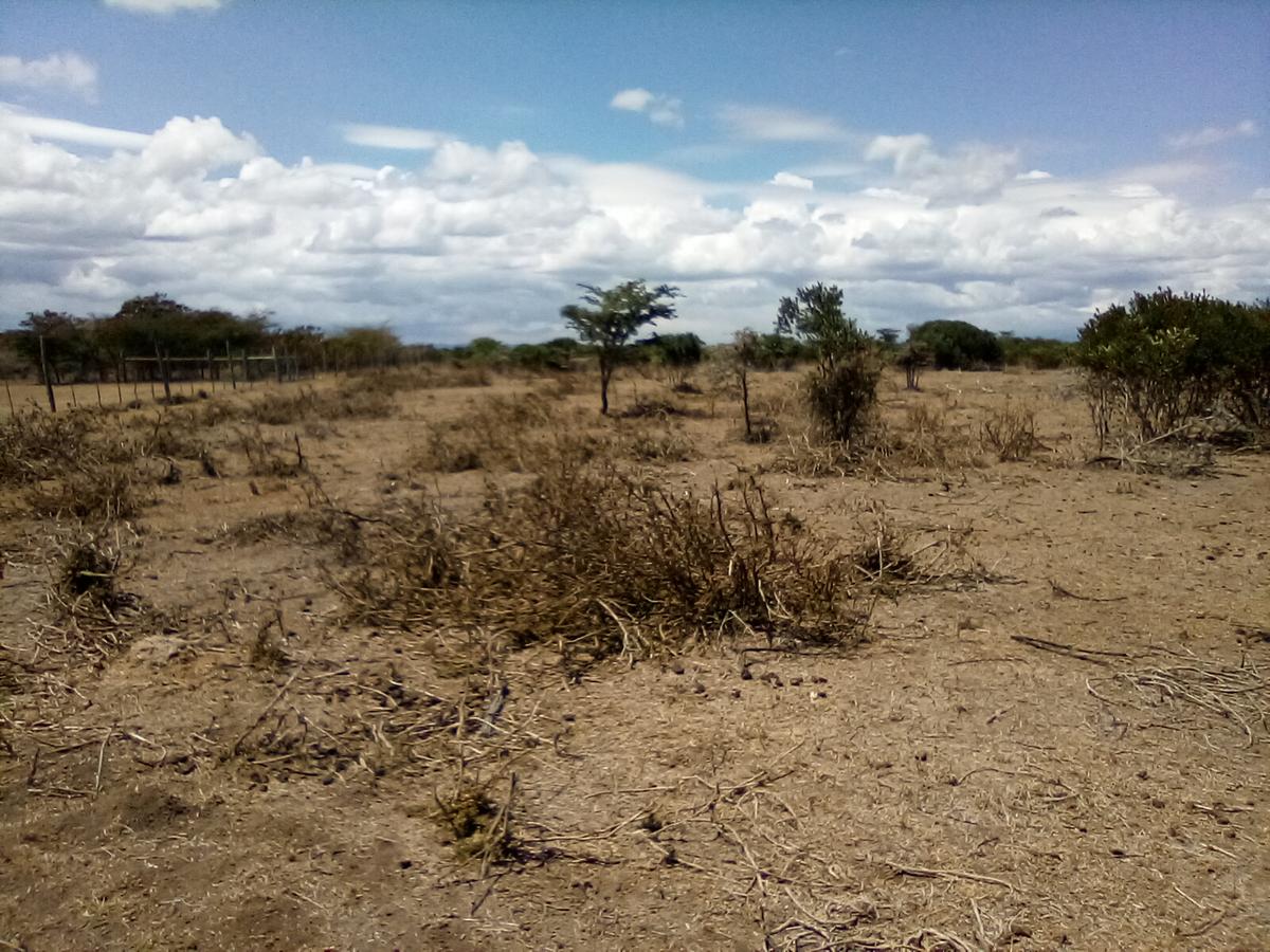 Land at Nanyuki - 14