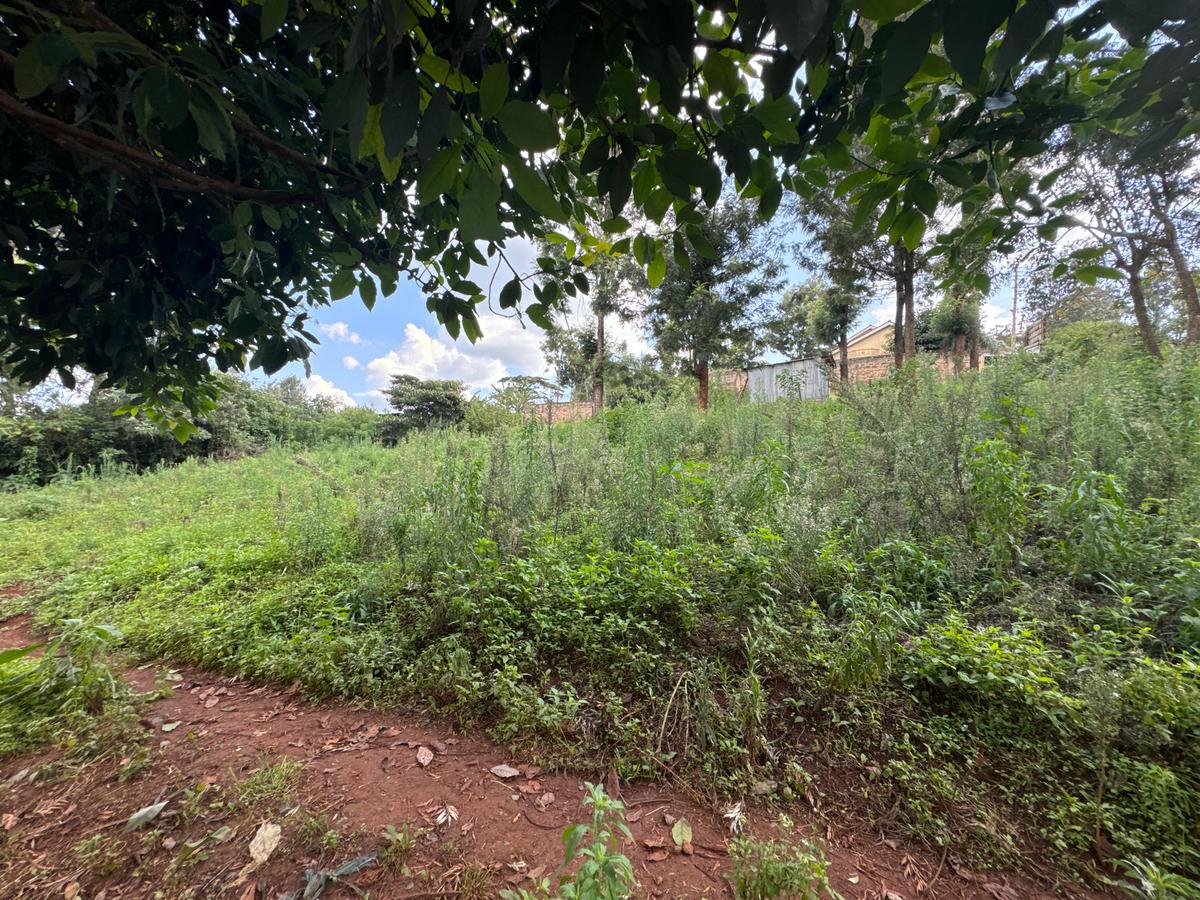 0.5 ac Land in Ngong - 1