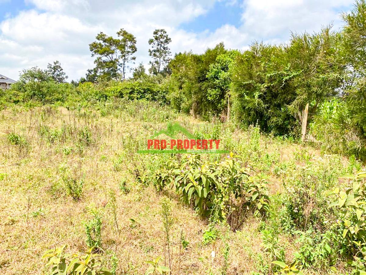 0.05 ha Land in Limuru - 4