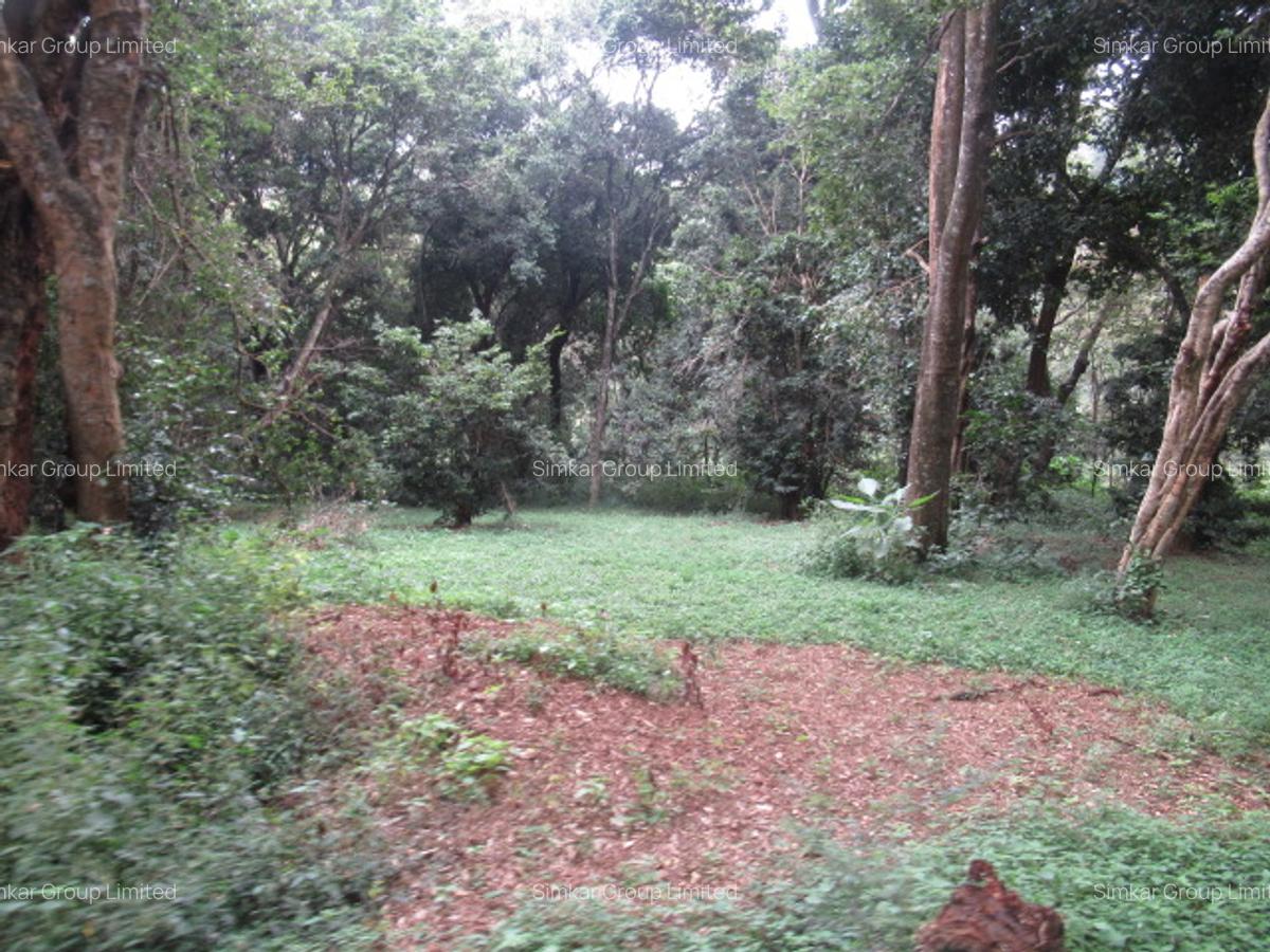 4 ac Land at Mushroom Gardens - 8