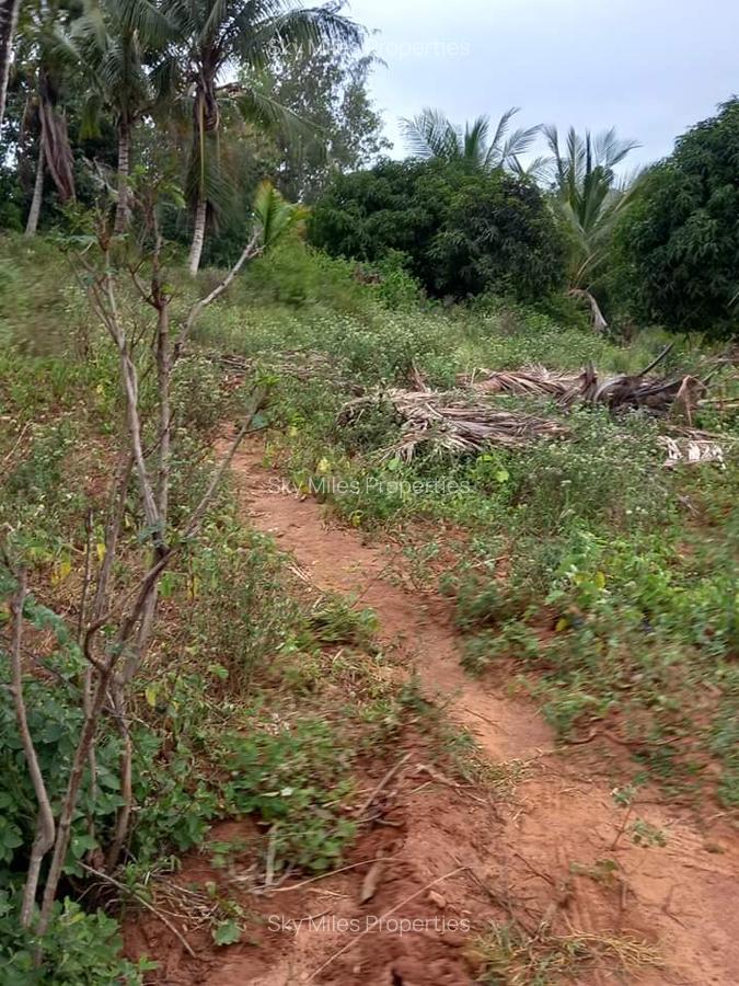 6 m² Land at Bomani - 6